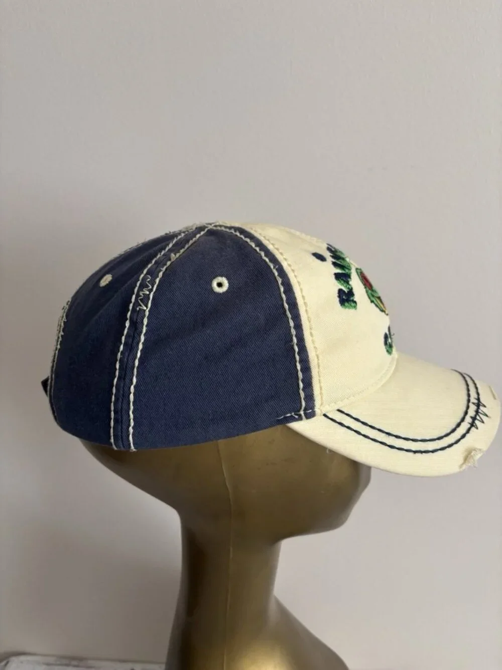 Rainforest Cafe Distressed Youth Kids Baseball Cap Hat Adjustable Frog